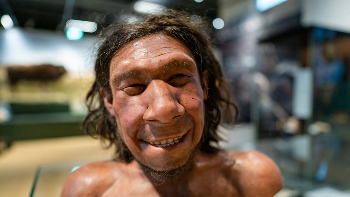 New Study Explores Why Some People Have So Much Neanderthal DNA
