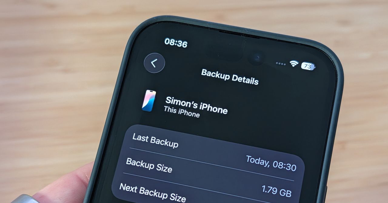 How to Back Up Your iPhone to iCloud, MacOS, or Windows (2025)
